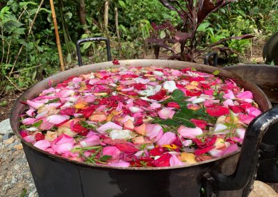 Osvěžující koupele ve vonných léčivých bylinách pralesa po každé ceremonii