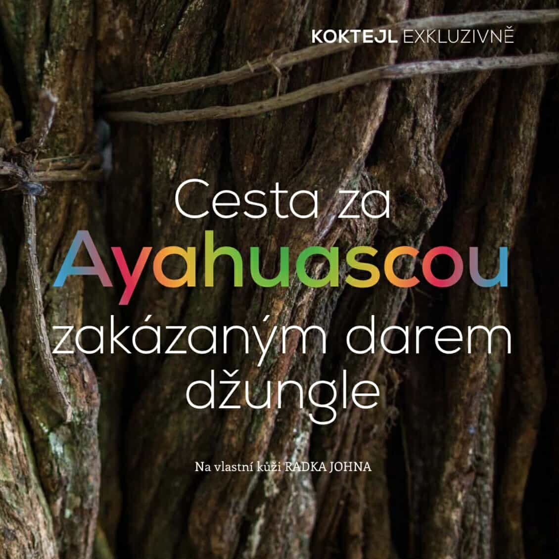 Ayahuasca ceremonie v Amazonii a náš ayahuasca pobyt popsal také Radek John